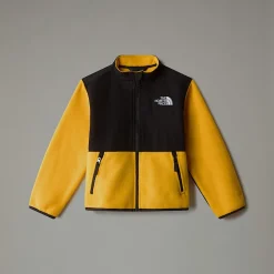 Shop The North Face Veste Denali Pour Enfant Summit Gold