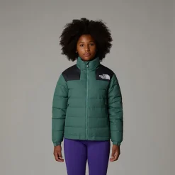 Best The North Face Veste En Duvet Massif Pour Enfant DARK SAGE/TNF BLACK