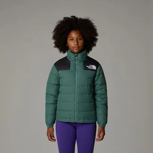 Best The North Face Veste En Duvet Massif Pour Enfant DARK SAGE/TNF BLACK
