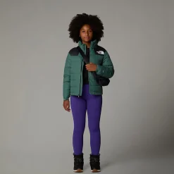 Best The North Face Veste En Duvet Massif Pour Enfant DARK SAGE/TNF BLACK