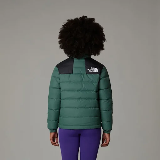 Best The North Face Veste En Duvet Massif Pour Enfant DARK SAGE/TNF BLACK